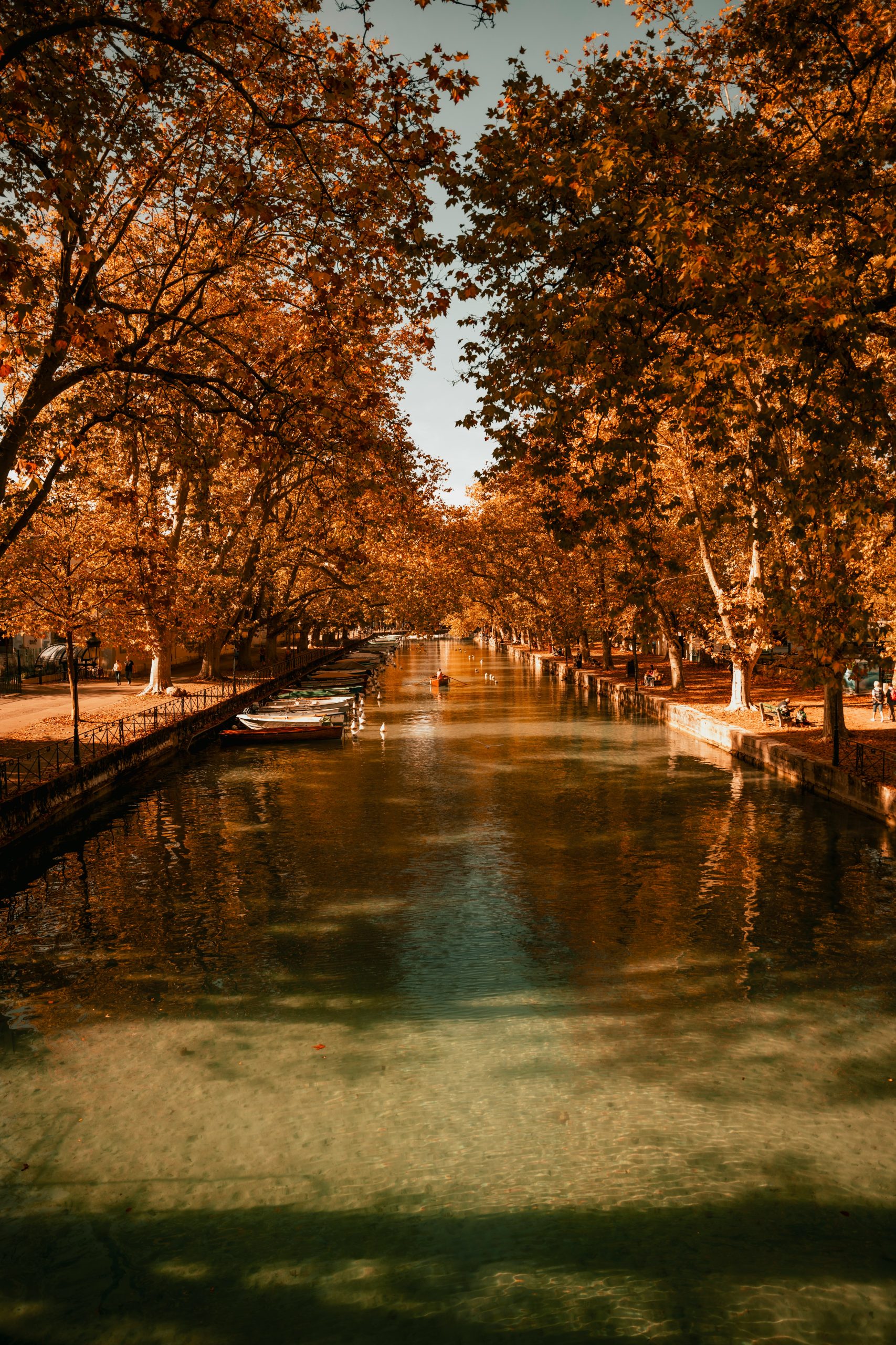 Le lac d'Annecy aux couleurs d'automne